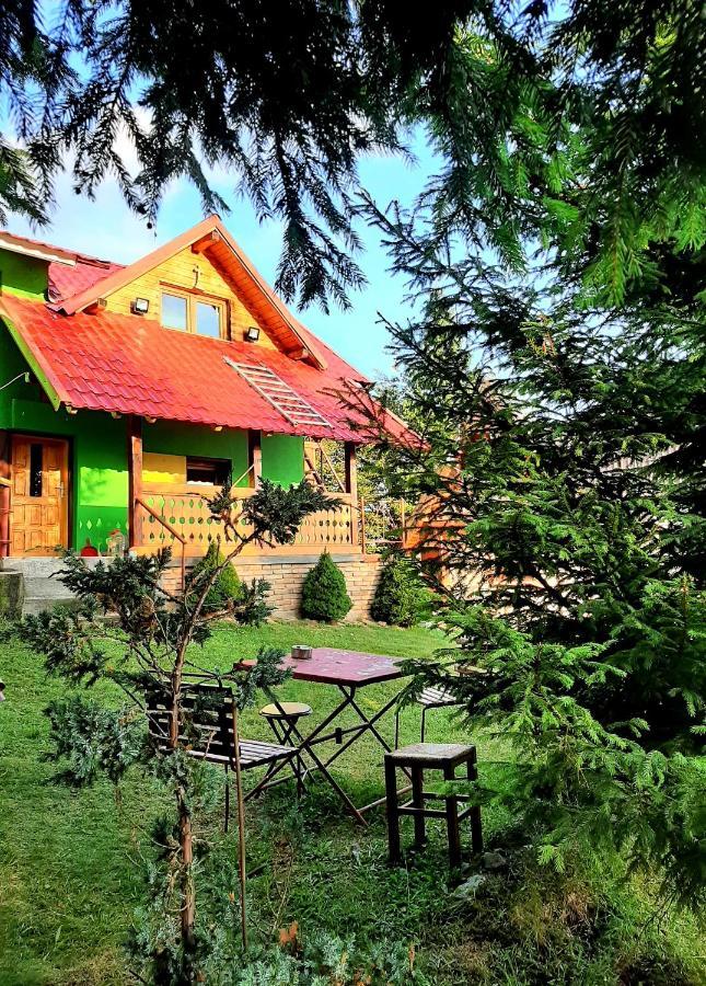 Cabana Drumul Voievodului Vulcan  Екстериор снимка