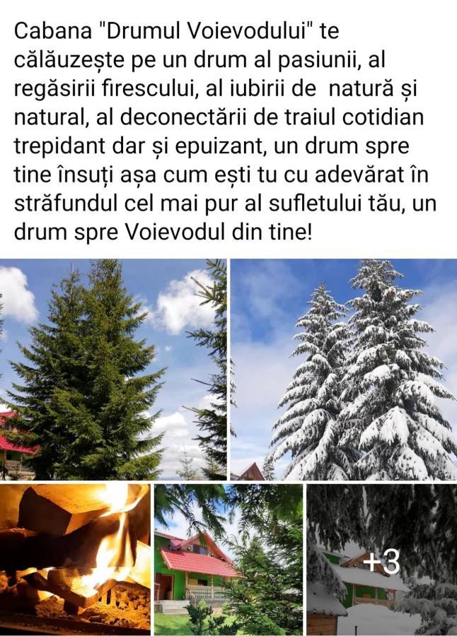 Cabana Drumul Voievodului Vulcan  Екстериор снимка